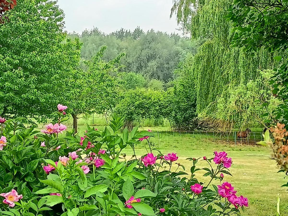 Les Chambres Du Vert Galant Rez De Jardin Verlinghem Ngoại thất bức ảnh