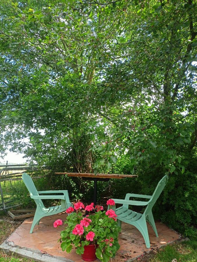 Les Chambres Du Vert Galant Rez De Jardin Verlinghem Ngoại thất bức ảnh